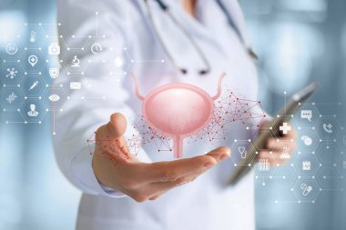 Bir sağlık çalışanı mesane gösterir .