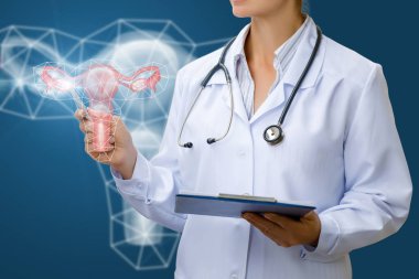 The doctor shows the uterus of a women . clipart