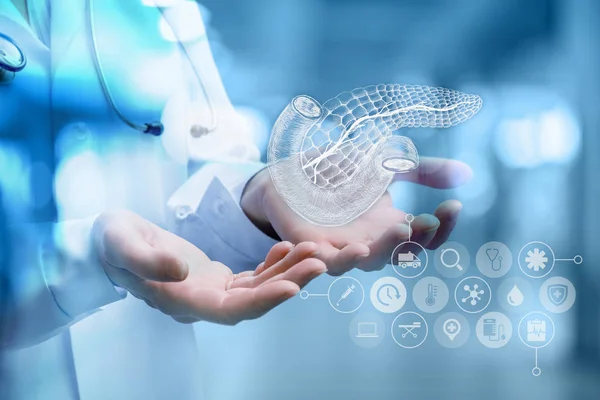 Doktor bir kişinin pankreas gösterir .