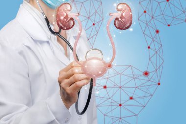 Doktor böbrek ve idrar kesesi tanısı .