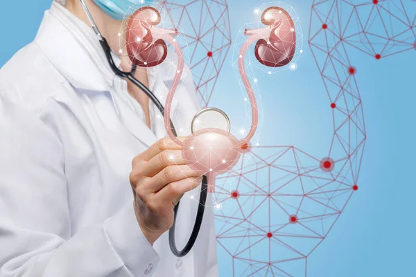 Doktor böbrek ve idrar kesesi tanısı .