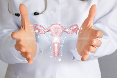 Bir tıbbi işçi ellerinin uterusunu gösterir.