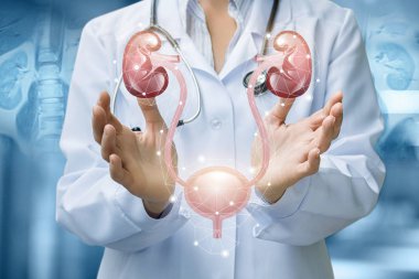 Doktor idrar sistemini gösterir .