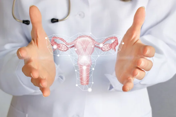 Bir tıbbi işçi ellerinin uterusunu gösterir.