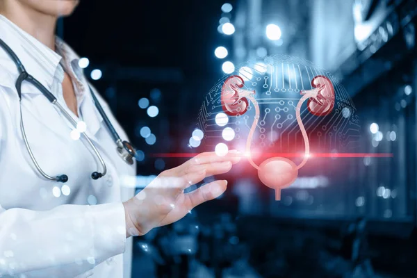 Doktor idrar sistemini tarar .