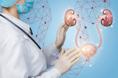 Doktor idrar sistemini muayene eder. .