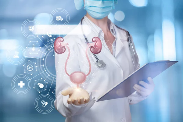 Bir sağlık çalışanı idrar sistemini gösterir .