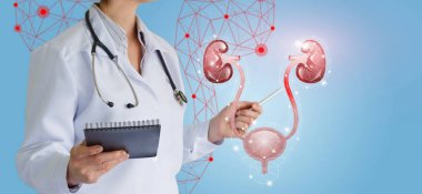 Doktor üriner sistemi ve sorunları gösterir üreter .