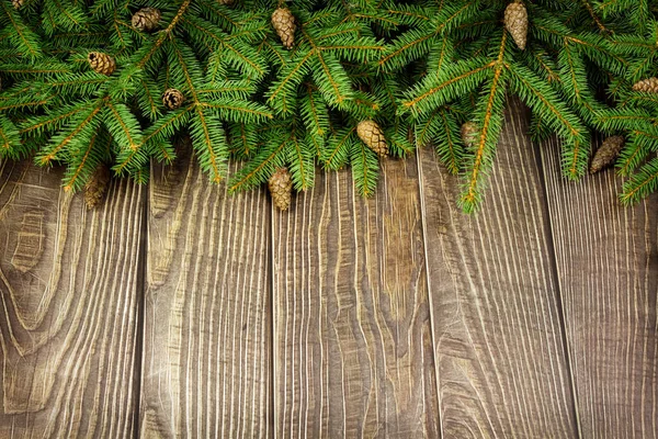 Razze di albero di Natale e coni  . — Foto Stock