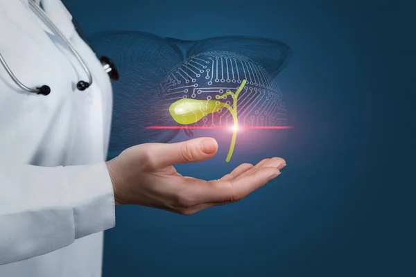 Safra kesesi teşhisi konsepti.