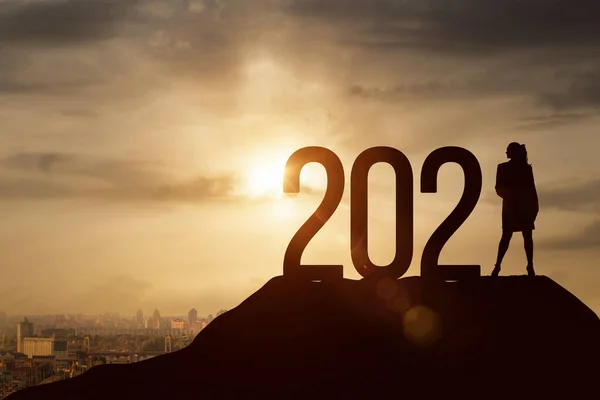 New 2021 business year concept. Business woman stands with the numbers on the top of the mountain.