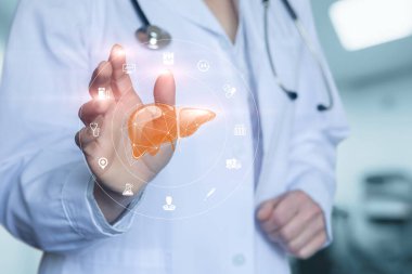 Sağlık uzmanı dijital karaciğer modeliyle etkileşimde. Bir sağlık çalışanı gelişmiş teknolojiyi sergileyen modern bir tıbbi ortamda karaciğerin dijital modelini araştırıyor..