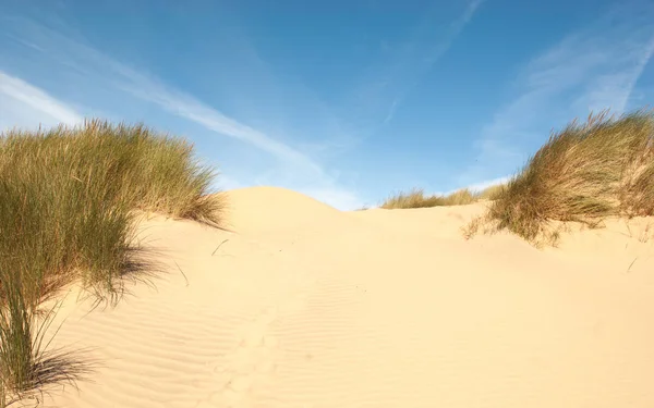 Meereslandschaft Bild Einer Sanddüne Mit Wellen Fußabdrücken Der Mitte Und — Stockfoto