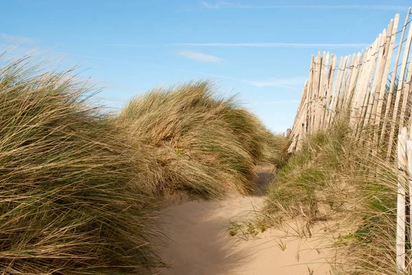 在威尔士康威莫法海滩 柔软的浅沙与长草和老围栏的低落图像 免版税图库照片