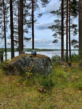 Finlandiya ormanı göl teknesi balıkçılık