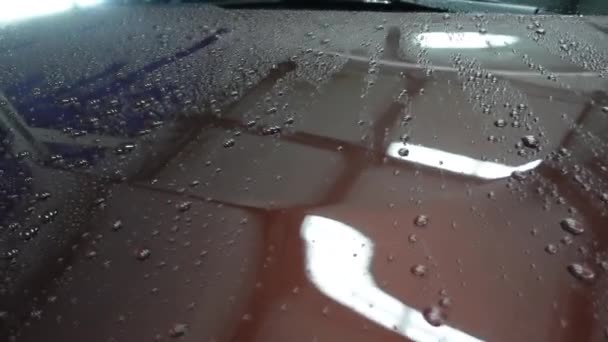 차의 보닛에 물이 떨어진다 — 비디오