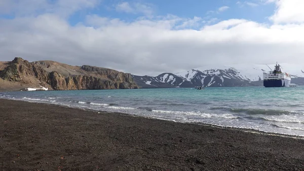 Antarctica Fauna Selvatica Spiaggia Polare Mare — Foto Stock