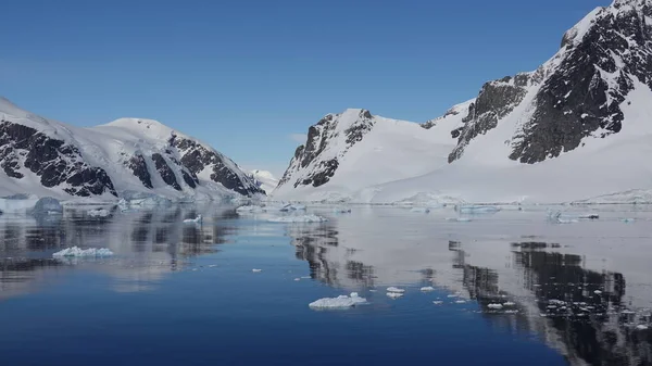 Antarktis Djurliv Beach Polar Havet — Stockfoto
