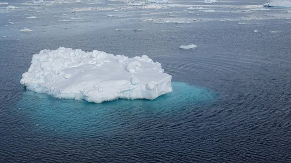 Antarktis Djurliv Beach Polar Havet — Stockfoto