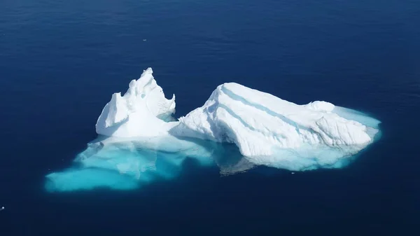 Antarctica Fauna Selvatica Spiaggia Polare Mare — Foto Stock