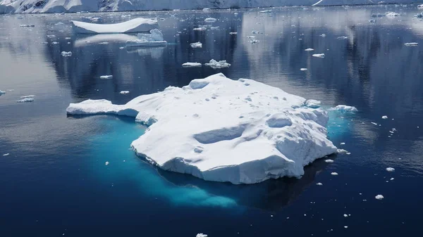 Antarctica Fauna Selvatica Spiaggia Polare Mare — Foto Stock