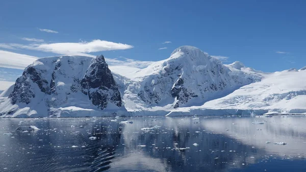 Antarctica Fauna Selvatica Spiaggia Polare Mare — Foto Stock