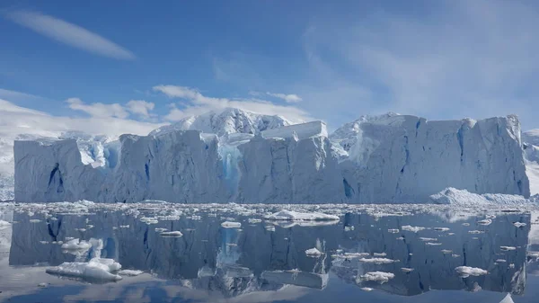 Antarctica Fauna Selvatica Spiaggia Polare Mare — Foto Stock