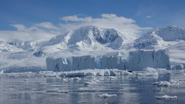 Antarktis Tierwelt Strand Polar Meer — Stockfoto