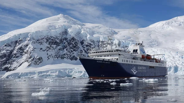 Antarctica Fauna Selvatica Spiaggia Polare Mare — Foto Stock