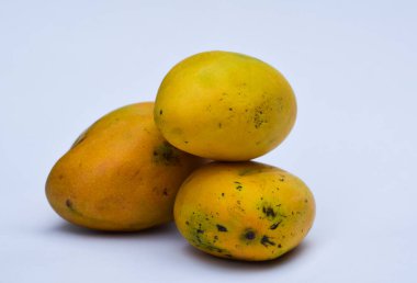 Hindistan 'dan taze Badam / Badami Mangoe çeşidi, Andhrapradesh Karnataka güney eyaletleri. Aromatik aromalı lezzetli organik. Güney Hindistan tropikal egzotik mevsim meyveleri