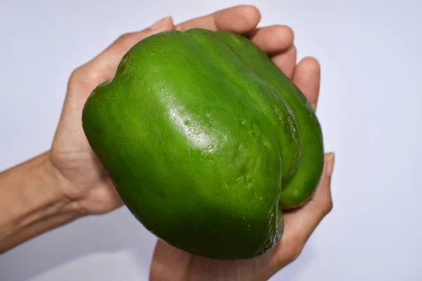 Big Green Capsicum Eller Green Bell Pepper Närbild Kvinnlig Hand — Stockfoto