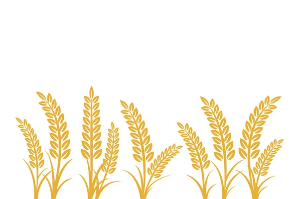 Landbouw tarwe vector illustratie ontwerpsjabloon. elementen van tarwe korrel, tarwe oren, zaad of rogge, welvaarts symbool — Stockvector