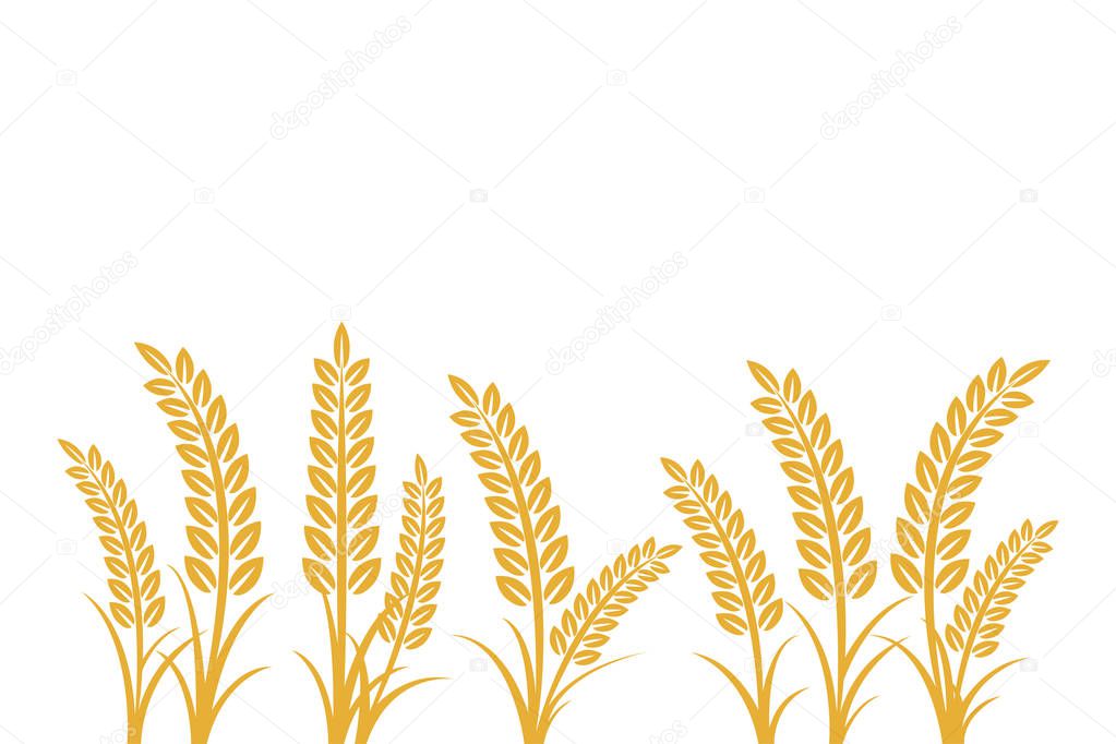 Agriculture wheat vector Illustration design template. elements of wheat grain, wheat ears, seed or rye, prosperity symbol