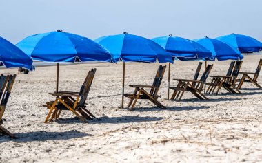 Hilton Head Island, Abd'de kumlu bir plajda ahşap plaj sandalyeleri ve mavi şemsiyeler tekrarlayan