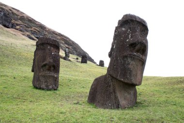 Moai in Rapa nui, Paskalya adası, şili