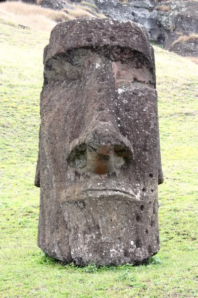 Moai Στο Ράα Νούι Νήσος Του Πάσχα Χιλή — Φωτογραφία Αρχείου