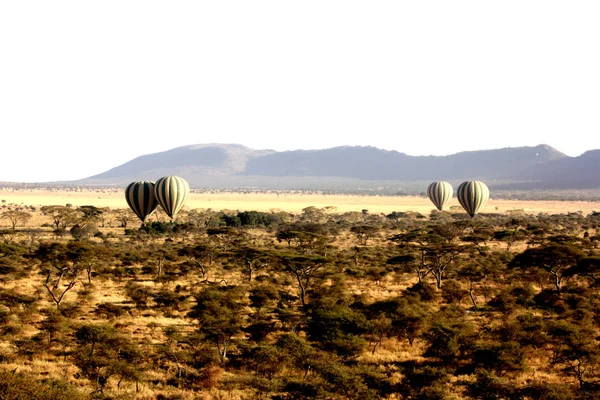 Hot air ball in savannah in Serengeti, Tanzania