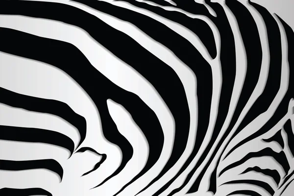 Zebra Pattern Amazing Hand Drawn Vector Illustration — Stock Vector