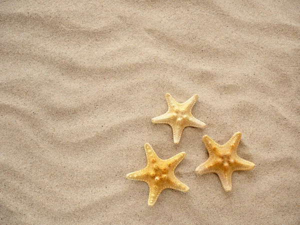 Три Морские Звезды Лежат Песке Отпуск Море Путешествия — стоковое фото