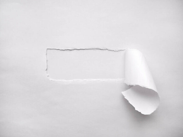 Realistic white torn paper with space for text. A strip of paper with uneven edges. copy space.