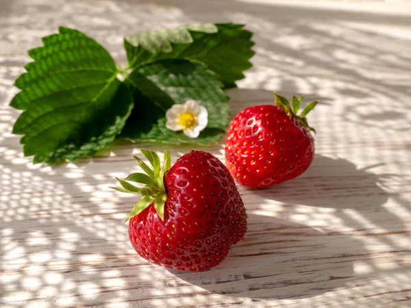 Strawberry berries on a wooden background on a Sunny day at the window. Light and shadow