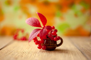 Sonbahar kompozisyonu. Kırmızı viburnum böğürtlen ve killi kupada kırmızı bir yaprak. Seçili keskinlik