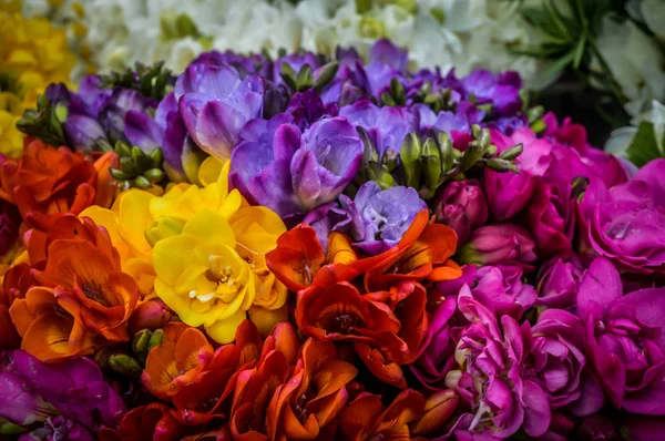 Piyasada çeşitli renklerde Çiçekler