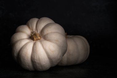 Siyah arka planda beyaz balkabakları. İki beyaz balkabağı. Cadılar Bayramı. Sonbahar hasadı