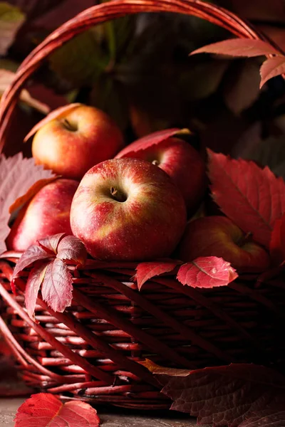 Осінній Урожай Яблук Червоні Яблука Осінній Арені Яблука Крупним Планом — стокове фото