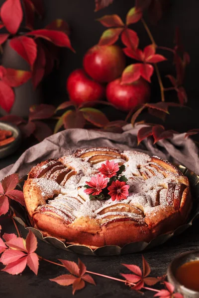Apel Pie Musim Gugur Kue Buatan Sendiri Latar Belakang Daun — Stok Foto