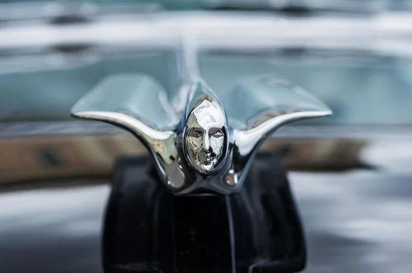 Cadillac Mascota Macro Disparo — Foto de Stock