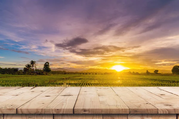 Rice Field Sunset Empty Wood Table Product Display Montage — Stock Photo, Image