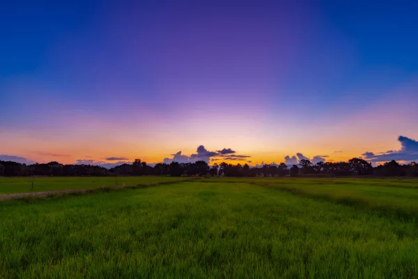 泰国清迈稻田景观与日落 — 图库照片