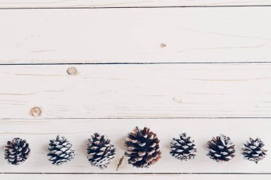 Çam kozalakları kopya alanı rusticwood beyaz zemin üzerine,